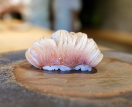 Dinner at 鮨 三心 - Sushi SANSHIN
