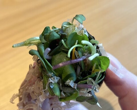 Dinner at 鮨 三心 - Sushi SANSHIN