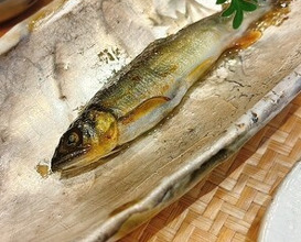 Dinner at 柚木元 - Yukimoto