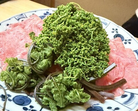 Dinner at 松川 - Matsukawa
