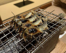 Dinner at 松川 - Matsukawa