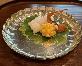 Dinner at 松川 - Matsukawa
