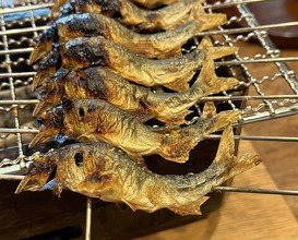 Dinner at 松川 - Matsukawa