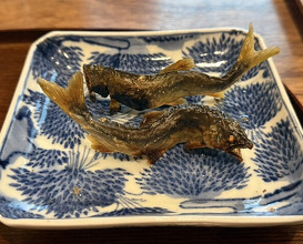 Dinner at 松川 - Matsukawa