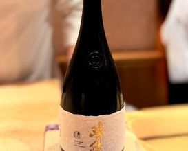 Dinner at 銀座 しのはら - Ginza Shinohara