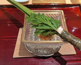 Dinner at 銀座 しのはら - Ginza Shinohara