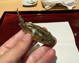 Dinner at 銀座 しのはら - Ginza Shinohara