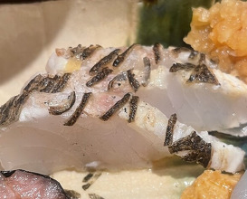 Dinner at 銀座 しのはら - Ginza Shinohara