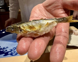 Dinner at 銀座 しのはら - Ginza Shinohara