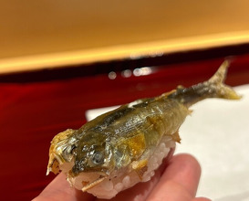 Dinner at 銀座 しのはら - Ginza Shinohara