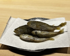 Dinner at 温石- Onjaku