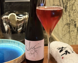 Dinner at 北野坂木下 - Kitanozaka Kinoshita