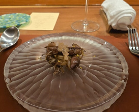 Dinner at 北野坂木下 - Kitanozaka Kinoshita