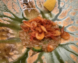 Dinner at 北野坂木下 - Kitanozaka Kinoshita