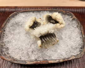 Dinner at 緒方 - Ogata
