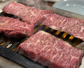 Dinner at Akasaka Raimon (赤坂 らいもん)