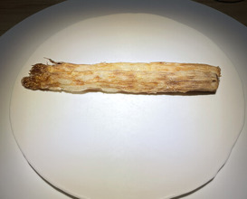 Dinner at Trace (トレイス)