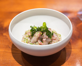 Dinner at Chisou Nishikenichi