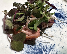 Dinner at ひき田 Hikita