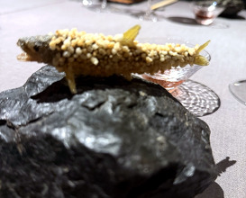 Dinner at 茶禅華 - Sazenka