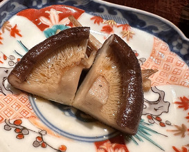 Dinner at ひき田 Hikita