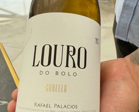 Dinner at Lalola Restaurante