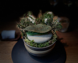 Dinner at kadeau