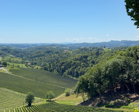 Dinner at Tement Weingut