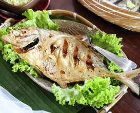 Dinner at บ้านสวนลุงไข่