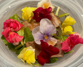 Dinner at Tokyo, Japan