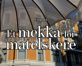 Dinner at Frogner