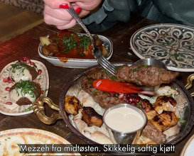 Dinner at Frogner