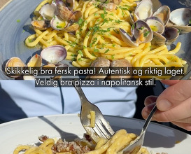 Dinner at Frogner