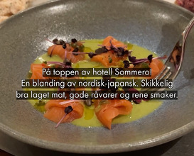 Dinner at Frogner