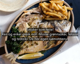 Dinner at Frogner