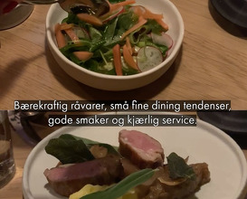 Dinner at Frogner