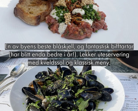 Dinner at Frogner