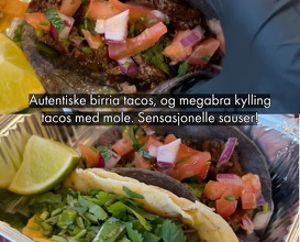 Dinner at Frogner