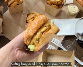 Dinner at Frogner