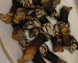 Dinner at Suculent