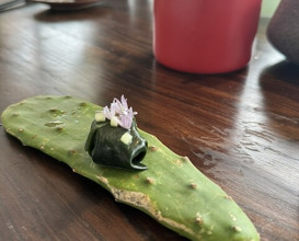 Dinner at 6 SIX