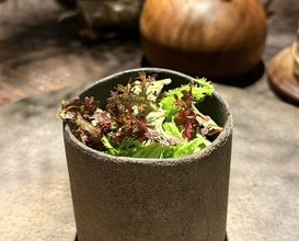 Dinner at 6 SIX