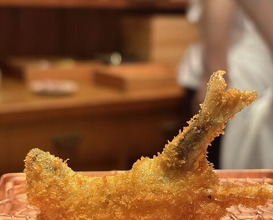 Dinner at Kushi Katsu A-bon (串かつ あーぼん)