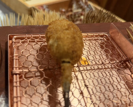 Dinner at Kushi Katsu A-bon (串かつ あーぼん)