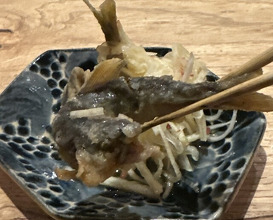 Dinner at Shokudo aca