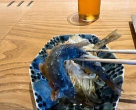 Dinner at Shokudo aca