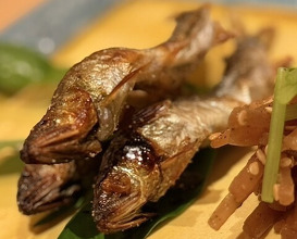 Dinner at Aji Yuki (味幸)