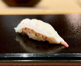 Dinner at Sushi Akira