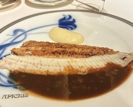 Dinner at APICIUS