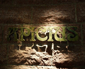 Dinner at APICIUS